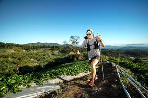 BIB: 
                            <button type="button" onclick="openModal(19110639)" class="btn btn-primary btn-sm float-right btn-popup" data-toggle="modal" data-target=".modal-high-quality">
                        <i class="fas fa-shopping-cart"></i> Add to Cart
                    </button>
                                            <button type="button" onclick="isThisMe(19110639, true)" class="btn btn-success btn-sm float-right btn-popup btn-isme hidden" data-toggle="tooltip" data-placement="bottom" title="นี่คือรูปของคุณใช่ไหม คลิกที่นี่เพื่อเอาเข้าอัลบั้ม">
                        <i class="fas fa-plus"></i> Add to album
                    </button>
                    <button type="button" onclick="isThisMe(19110639, false)" class="btn btn-warning btn-sm float-right btn-popup btn-isnotme hidden">
                        <i class="fas fa-ban"></i> Remove from album
                    </button>